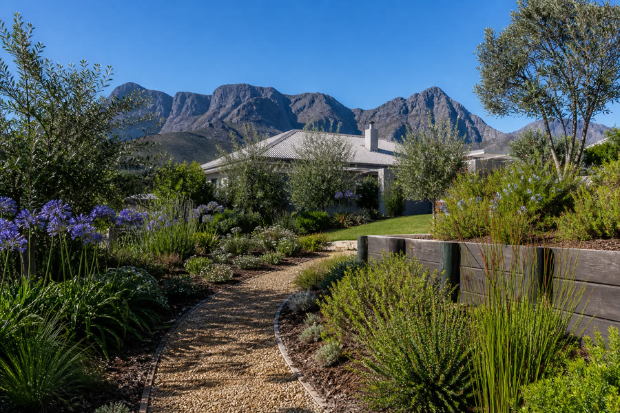 Finished Somerset West garden with gravel path, timber-sleeper terrace, indigenous planting and Helderberg behind.